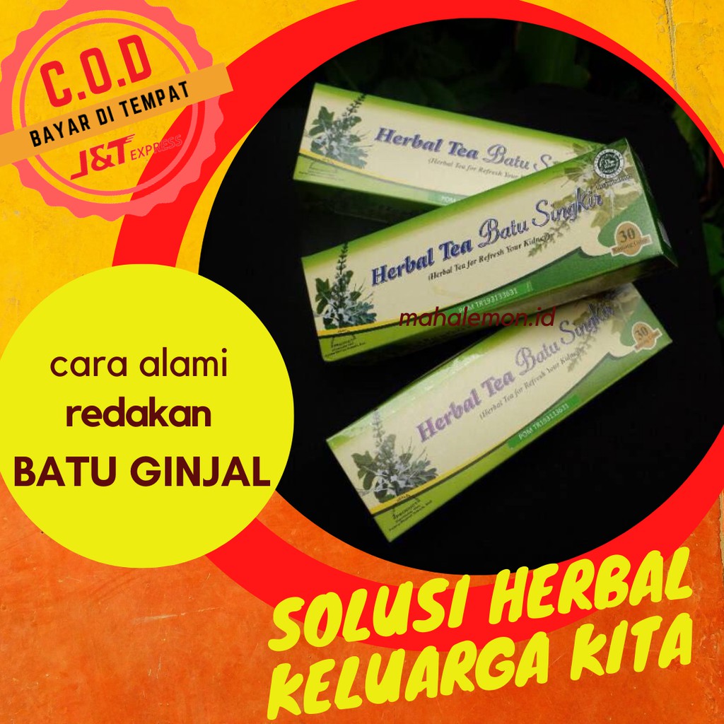 

Teh Herbal Tea Batu Singkir Untuk Batu Ginjal Dan Infeksi Saluran Kencing