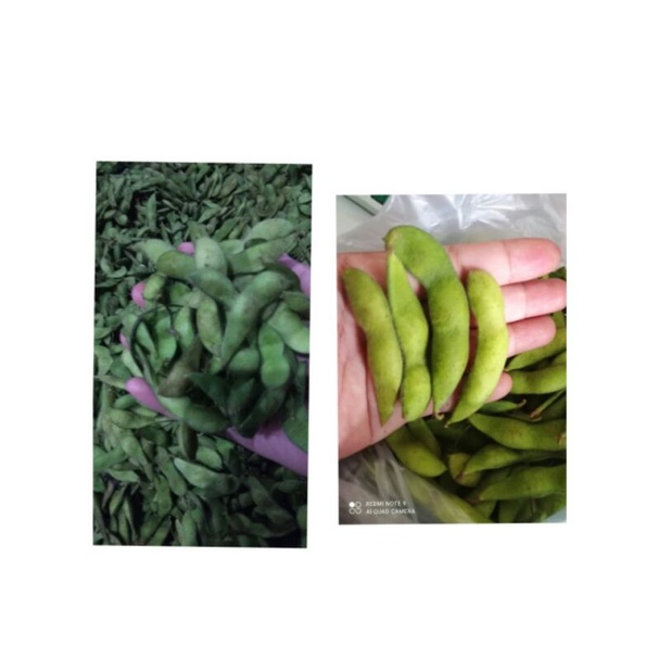 

edamame