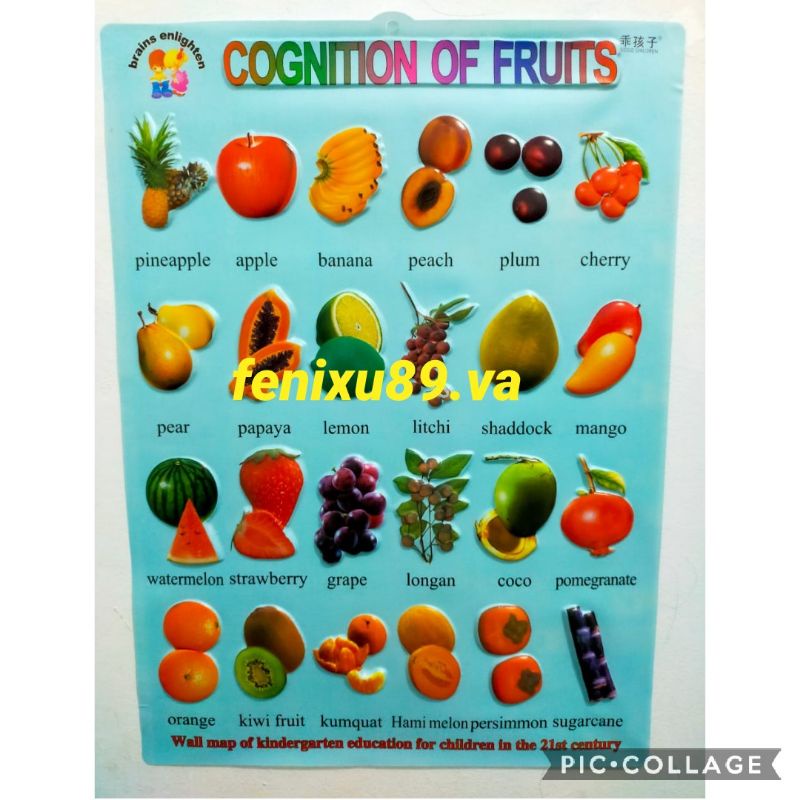 Poster Timbul Edukasi Anak Buah Biru