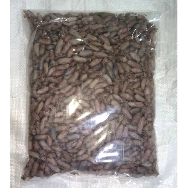 

Cumi balita premium 1000 gr