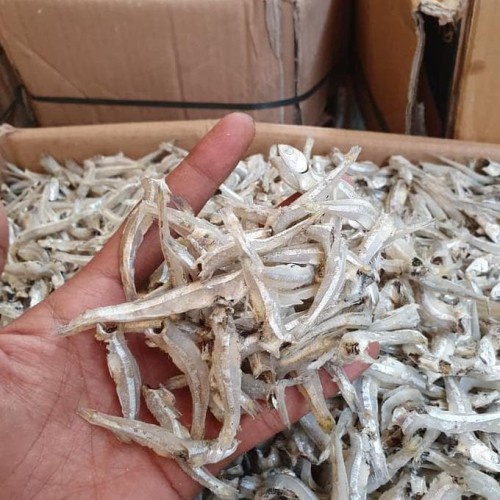 

TERI ASIN PUTIH BERSIH / IKAN ASIN , TERI JENGKI PALING MURAH 500 gr