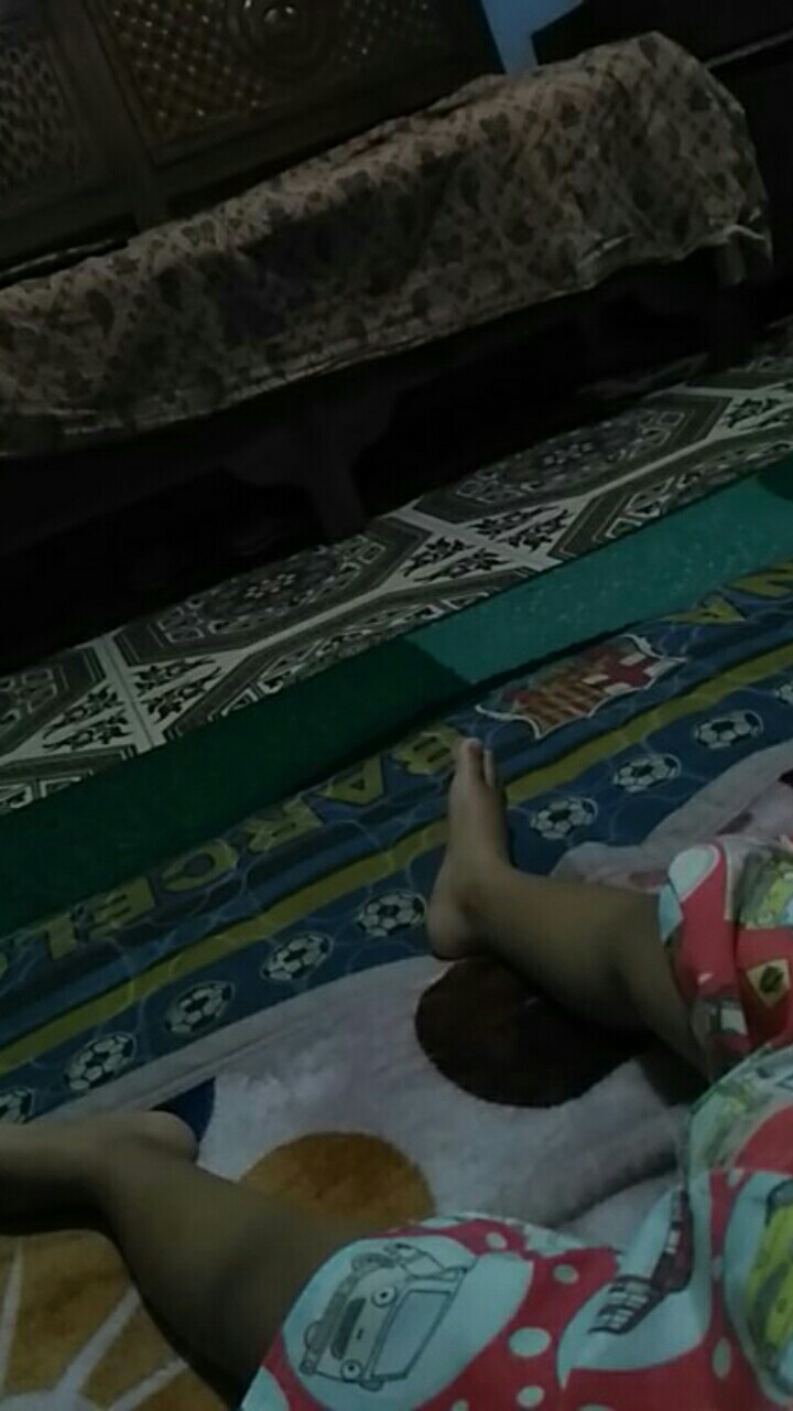 Pisau Dapur Stainless Steel Cap Dua Ikan 30 Cm