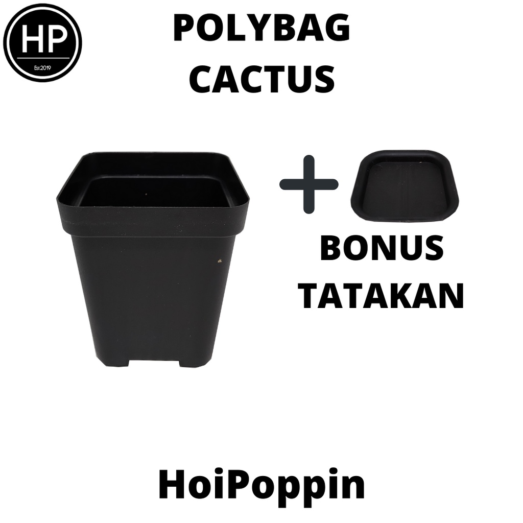 HPP - Polybag (Hitam) - cactus polybag - pot cactus - pot elastis - pot dan tatakan - pot - pot hias