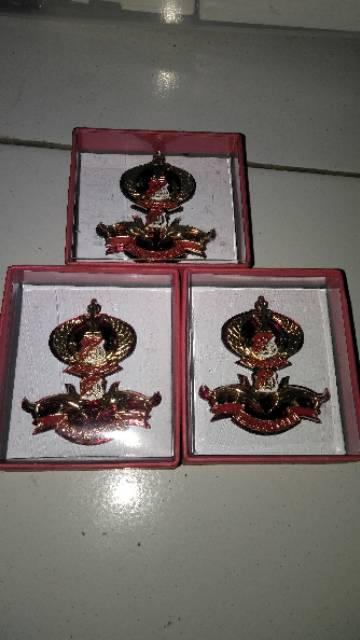 Pin selam dan pelopor gandeng