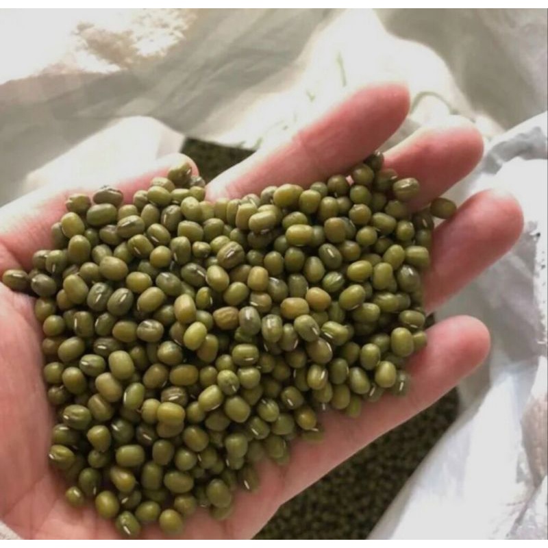 

Kacang Hijau Hasil Pak Tani 1000 gram