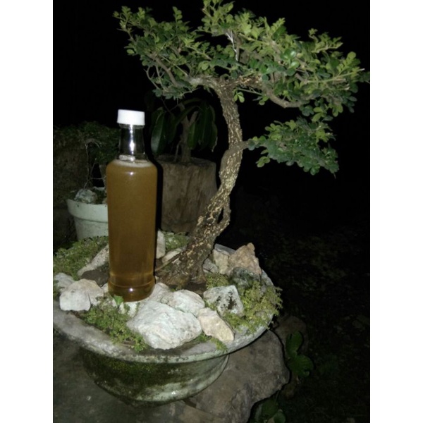 MADU KLANCENG ASLI MURNI KEMASAN BOTOL MARJAN /MADU KLANCENG AN NUR ASLI 100%