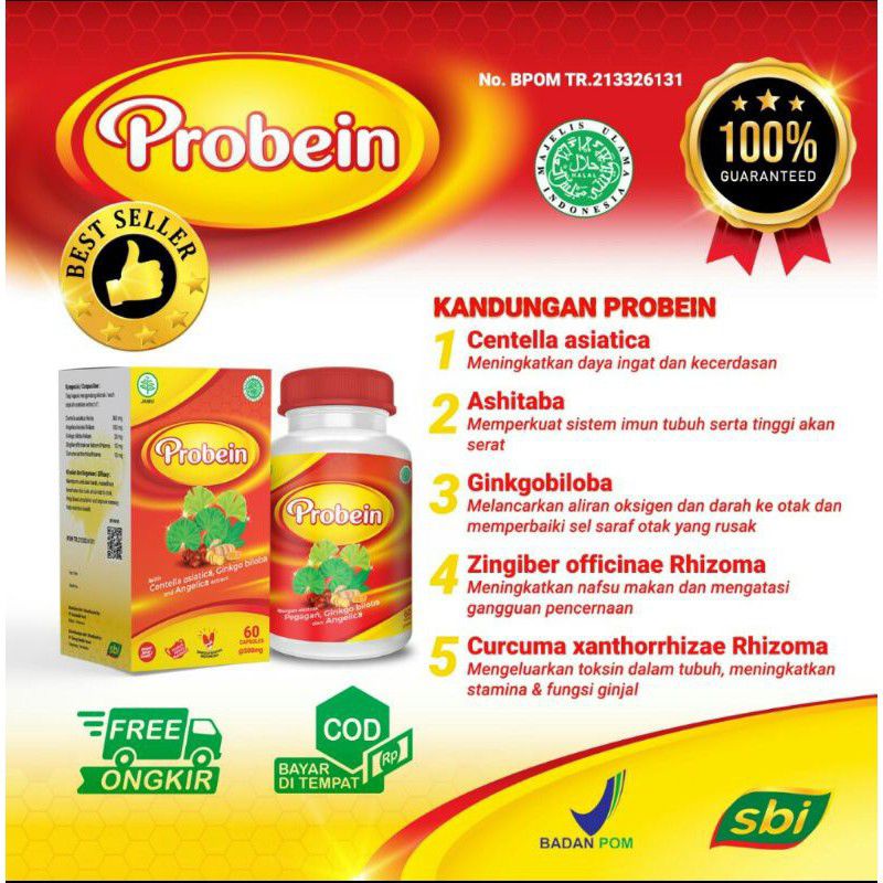 Probein nutrisi dan vitamin otak untuk mencerdaskan dan menambah daya ingat