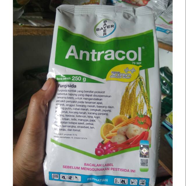 ANTRACOL 250GR // ANTRACOL 70WP 250GR // ANTRACOL PLUS ZINK // ANTRACOL FUNGISIDA