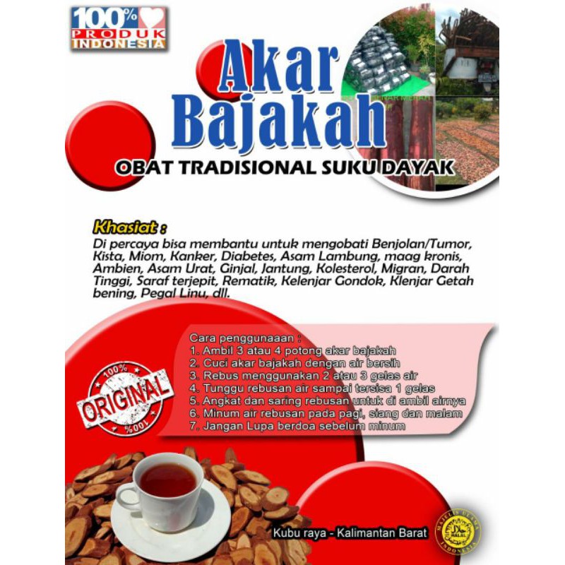 

AKAR BAJAKAH MERAH