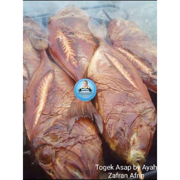 

TOGEK ASAP || IKAN AYAM² || ASAPAN IKAN LAUT