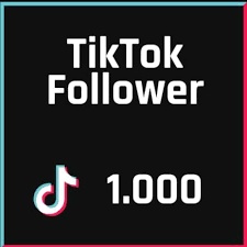 Follower tiktok 1000 Garansi