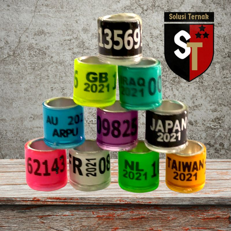 Ring Merpati Import edisi 2023