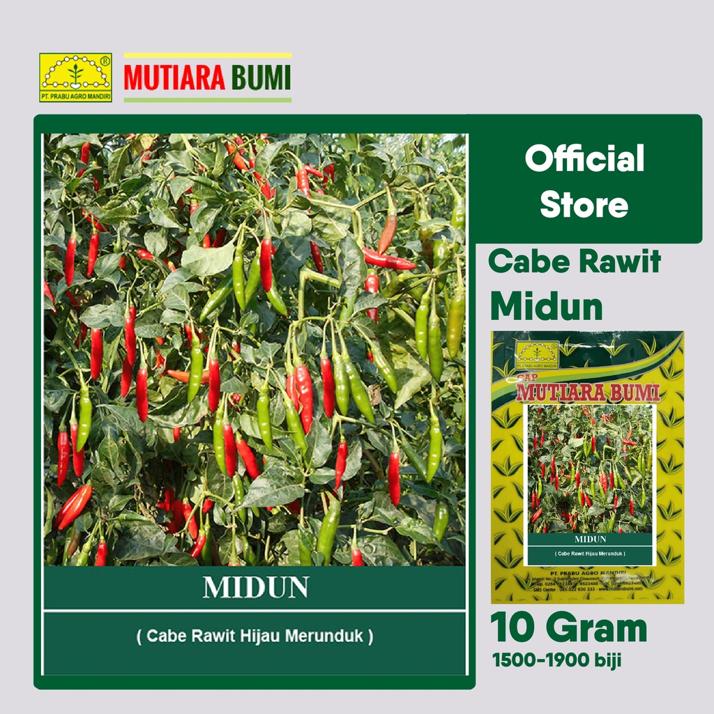 Jual Benih Cabe Rawit Hijau Merunduk Midun Gram Cap Mutiara Bumi