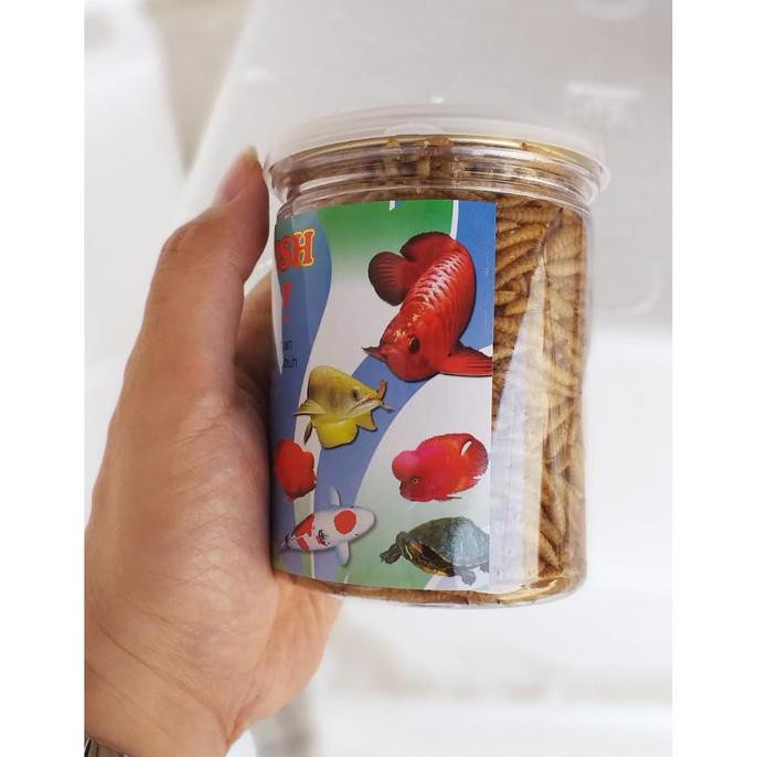 NEW PRODUK BIO FISH MAGGOT DRY BSF MAKANAN IKAN TOPLES