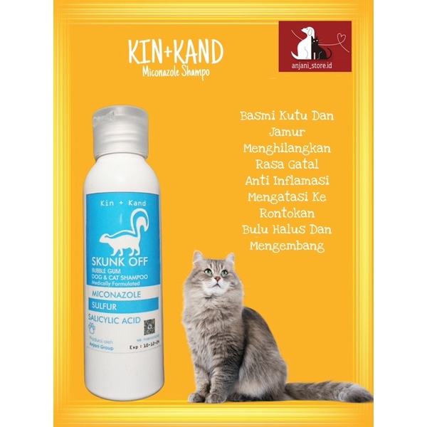 BARU 100ml! SHAMPO KUCING ANTI KUTU JAMUR SHAMPO MICONAZOLE