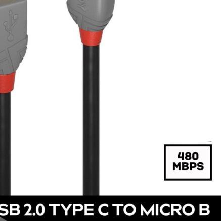 ◌ LINDY 36891 1M Kabel USB Type C to Micro USB DAC Cable 480Mbps ♂