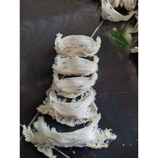 

sarang walet mangkok kalimantan