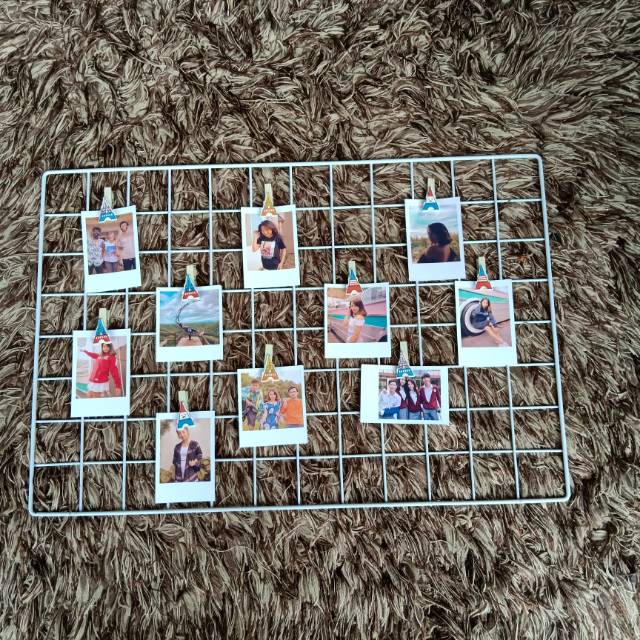 WIRE GRID POLAROID