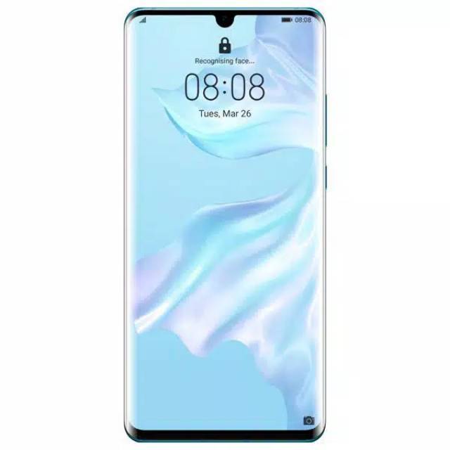 Huawei p30 pro (8/256)