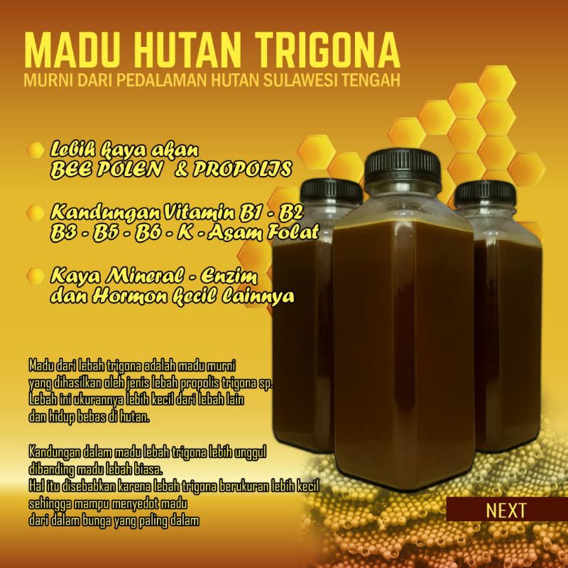 

MADU TRIGONA MURNI @500ml / 650gr