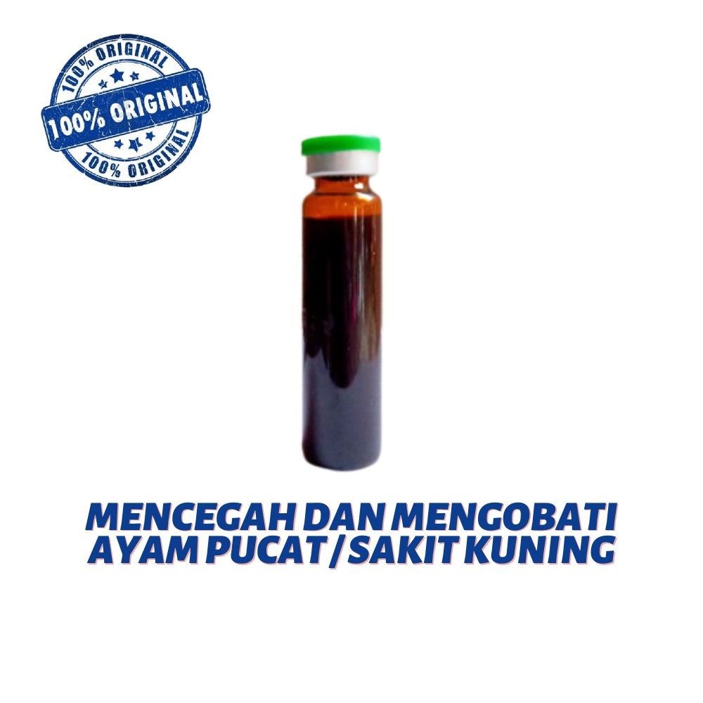 Astrangali Amino Acids - untuk ayam pucat atau ngesup