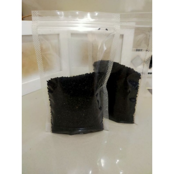 

Jintan hitam 50gr biji jintan habbatussauda