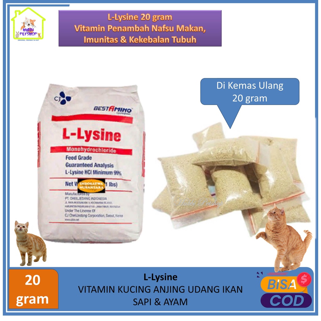 Vitamin Kucing - Vitamin Kucing Lysine 20 Gram - lysin Vitamin Bulu Kucing Anjing Vitamin Nafsu Makan Obat Untuk Pelebat Penumbuh Bulu Rontok