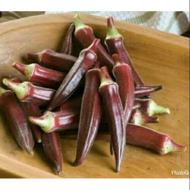 

Red ladys finger okra merah