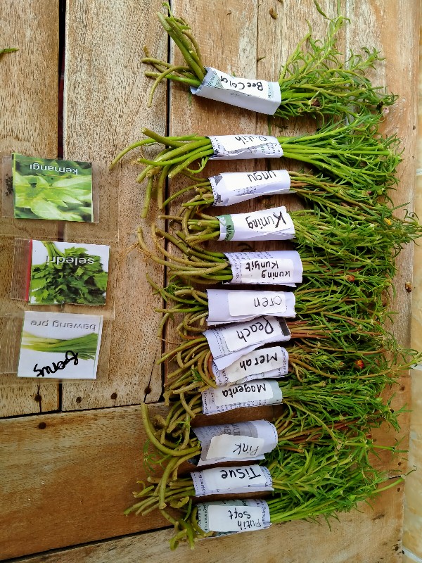 1paket Carnation Lokal