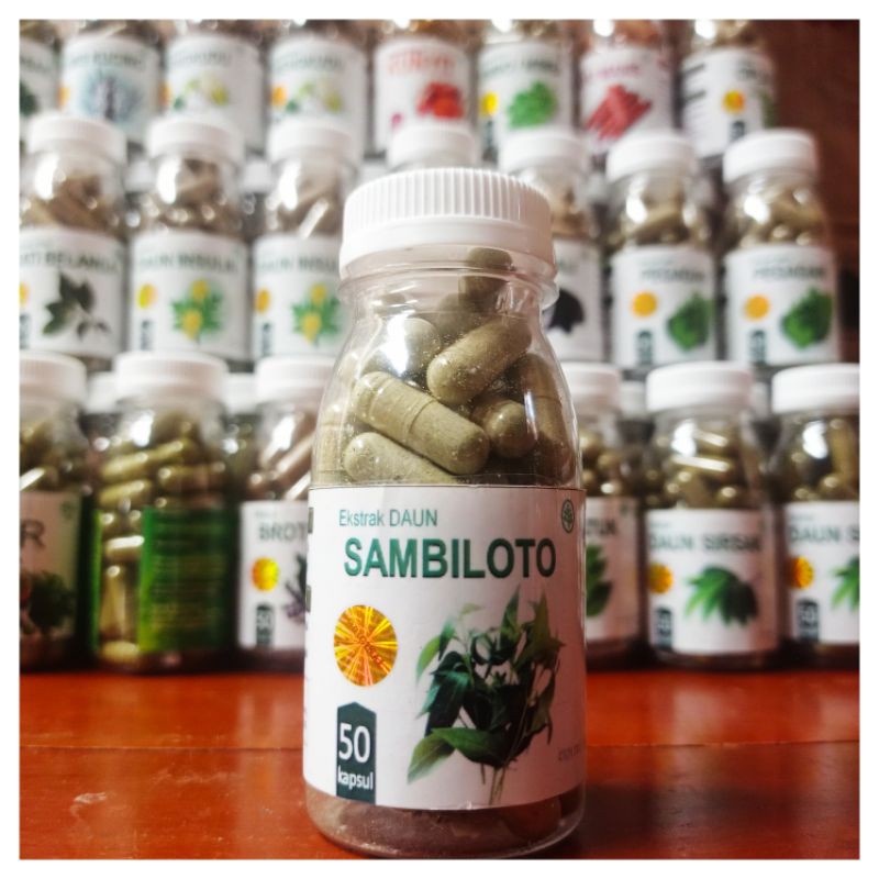 

Obat diabetes sambiloto herbal daun jamu gatal suplemen kesehatan kapsul gula darah isi 50