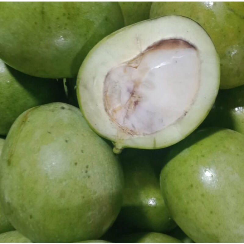 

Buah Mangga Muda Belah telor Biji Fresh / 1Kg