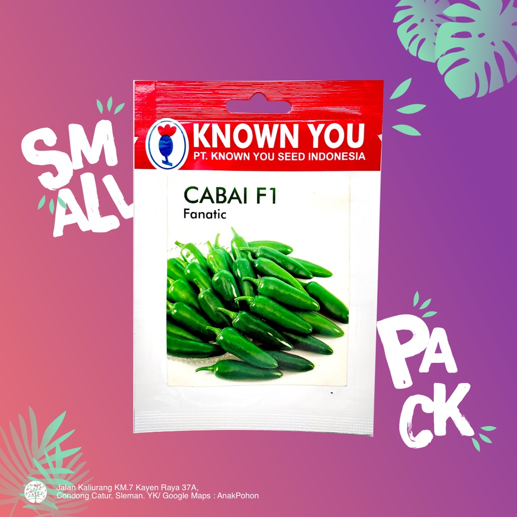 (1 PACK) Benih Cabai F1 Fanatic Cabe Jalapeno Seeds - Known You Seed KYS - 25 SEEDS