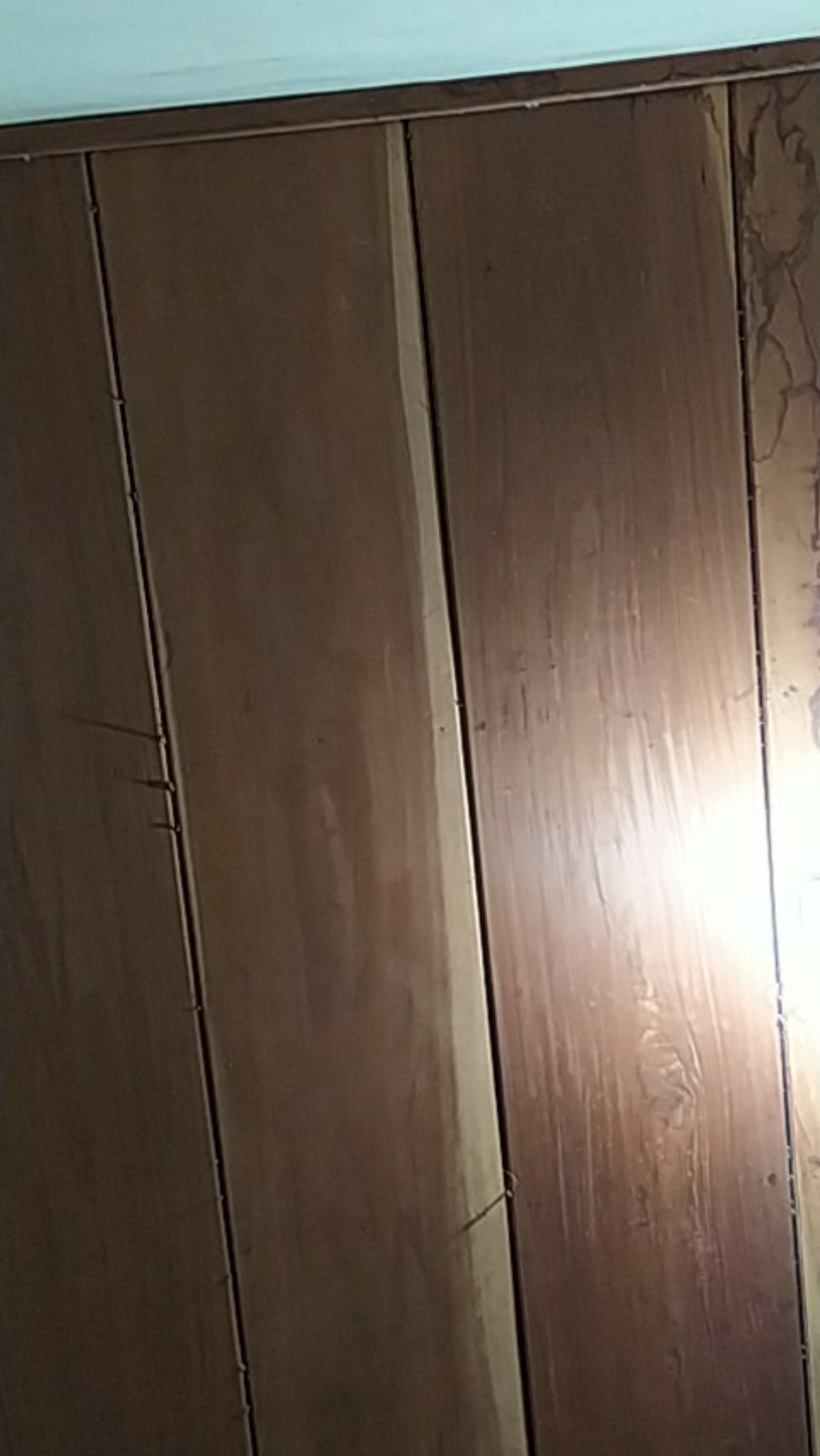 [𝐏𝐑𝐈𝐍𝐂𝐄𝐒𝐒] Sprei Murah Motif Bola / Sprei Motif Mu / Sprei Motif Anak Cowok / Sprei Homemade