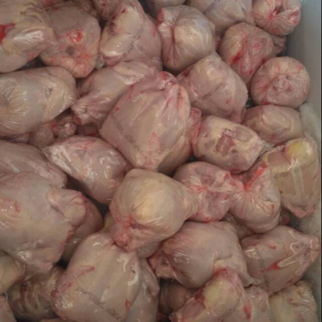 

Ayam boiler 800gr