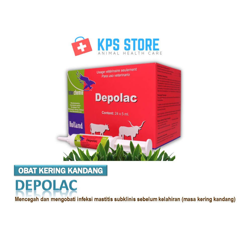 DEPOLAC Syr | OBAT KERING KANDANG SAPI | BEST SELLER
