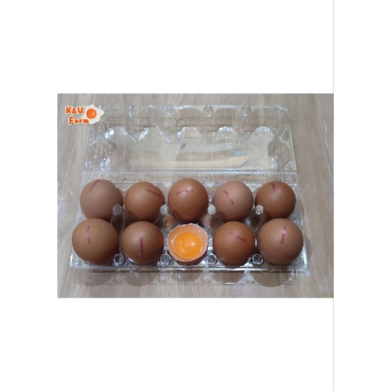 

Telur Ayam Negri (Horn) Omega