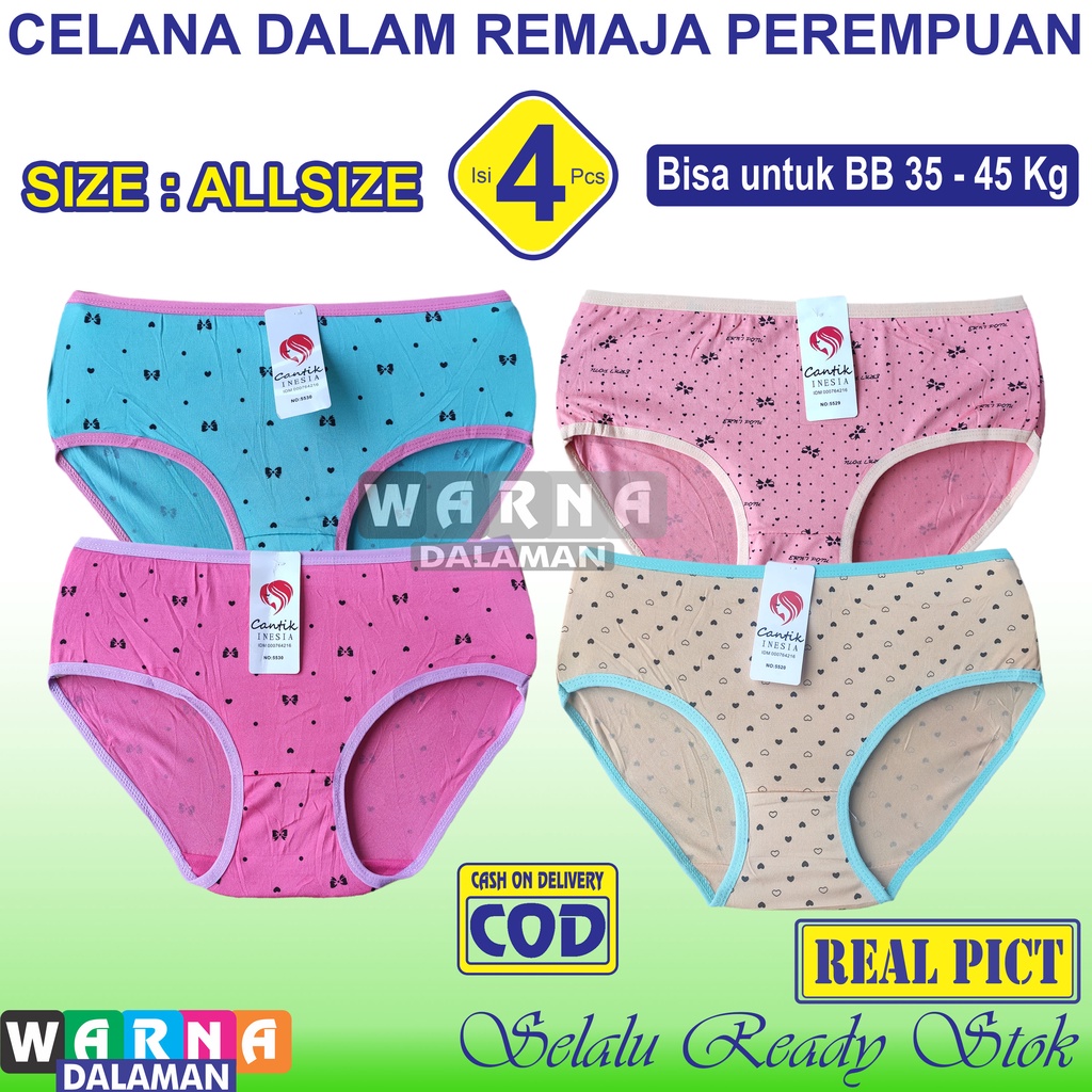 4 Pcs CD Remaja Anak Perempuan Bahan Melar Corak Motif Random ALLSIZE | WARNA DALAMAN