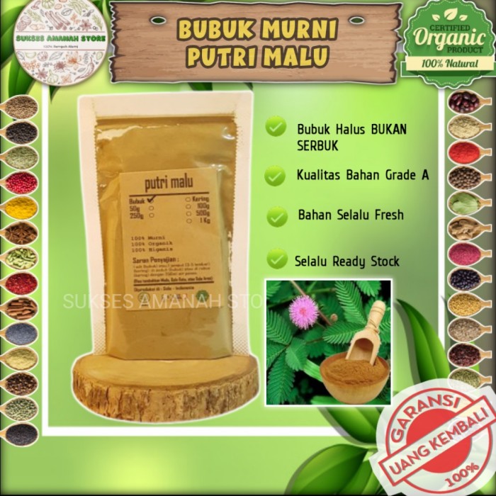 

Putri Puteri Malu Bubuk 1 Kg Obat Herbal Rempah Asli Mimosa Pudica