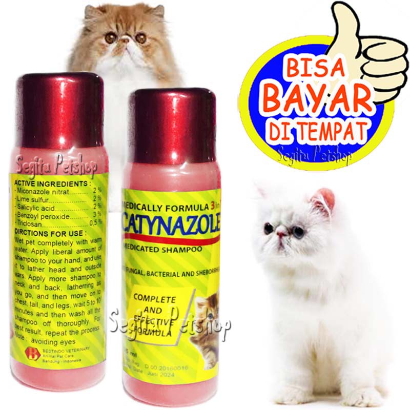 SAMPO JAMUR KORENG KUCING ANTI SHAMPO SCABIES CATYNAZOLE