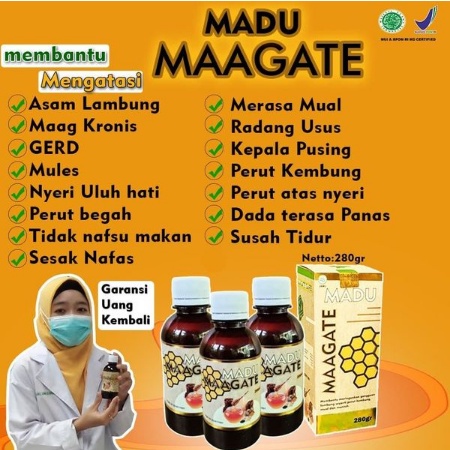 MAAGATE Madu Maag Kronis Obat Asam Lambung Gerd Tukak Lambung 100% Original MAGATE