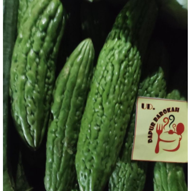 

Sayur Pare 100 gram