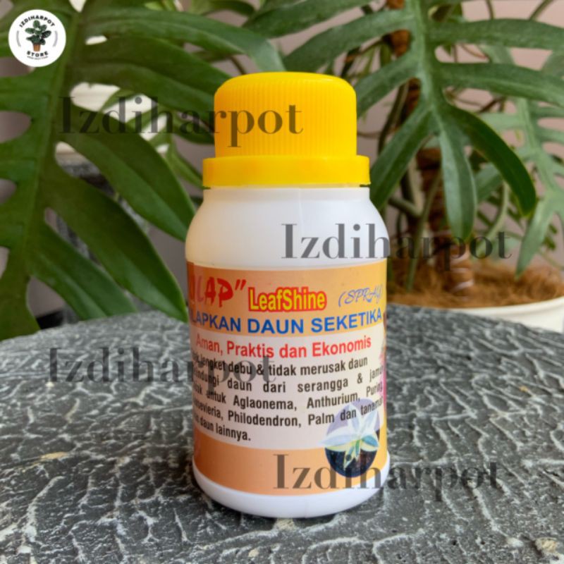 kilap leafshine SPRAY 100ml - pengkilat daun bikin tanaman cantik