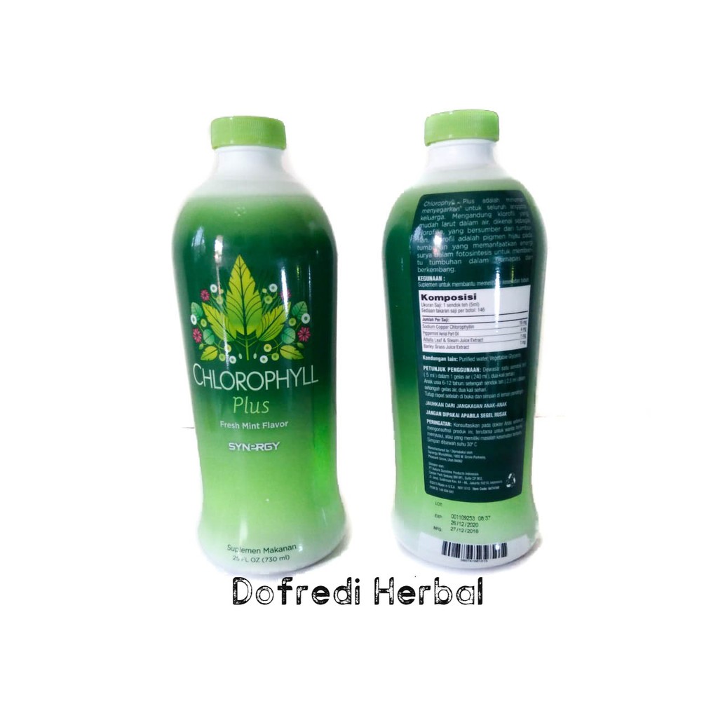 Chlorophyll Plus Fresh Mint Flavor Synergy Suplemen Makanan 730 ml ORIGINAL