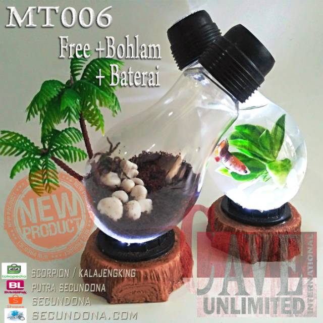 Terrarium aquarium  unik lampu  meja kamar hiasan  rumah 