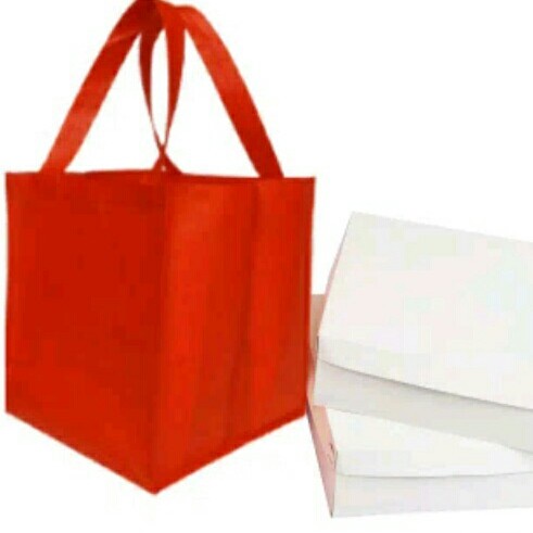 

TERLARIS Tas Spunbond nasi Kotak murah22x22x27 jahit / spunbun/tas kain/bento - press