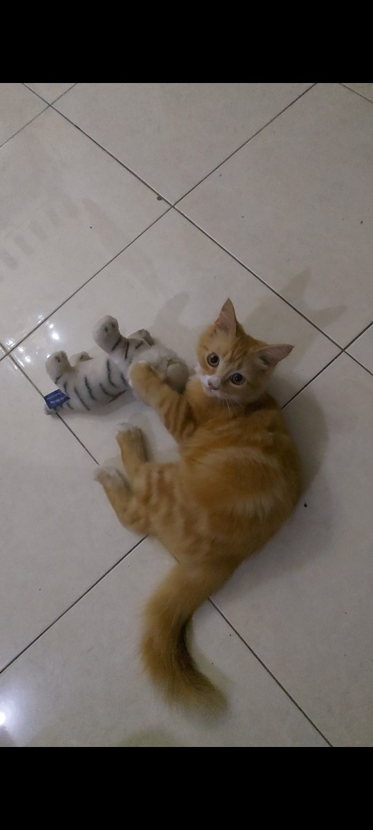 Tumbler Lv Tumbler Import Thermos Led Air Panas Branded