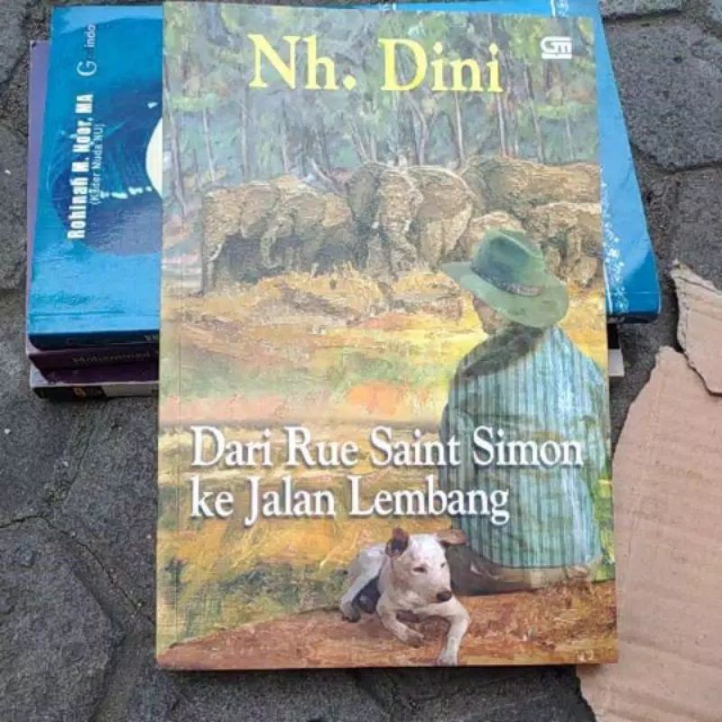 Novel Dari Rue Saint Simon ke Jalan Lembang Oleh : Nh-Dini