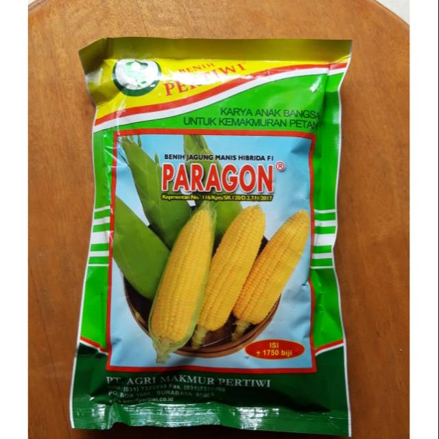 BENIH JAGUNG PARAGON
