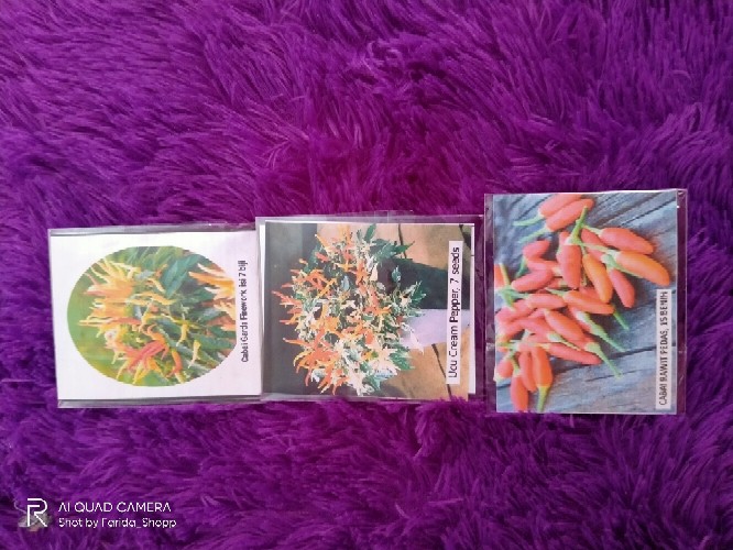 Cabe Rawit Pedas - 15 Benih