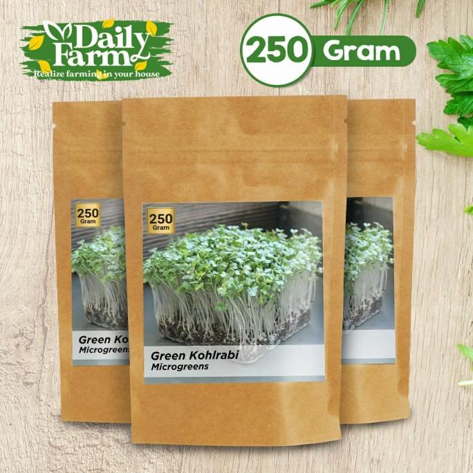 Benih Sayur Microgreen Green Kohlrabi Microgreen ( 250 Gram )